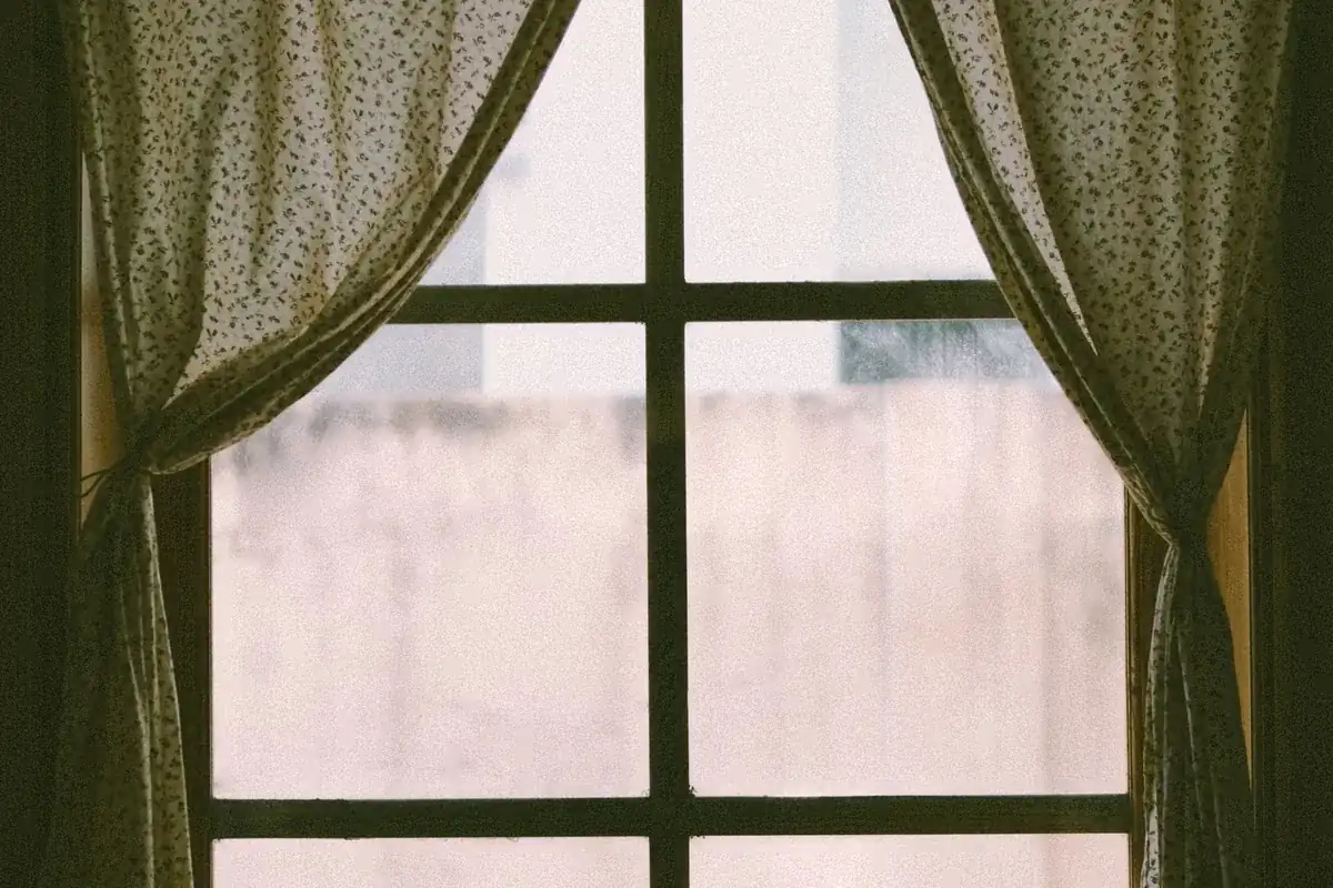 Suicide Cleanup in Downer Woods, Milwaukee, WI